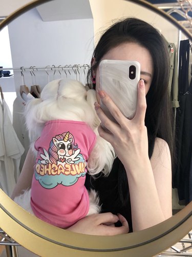 韩国ins马尔济斯幼猫夏季无袖背心可爱透气宠物短袖猫咪狗狗衣服