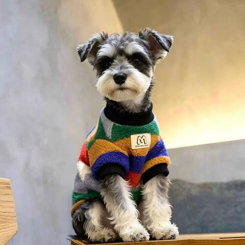 新款时尚彩虹毛绒秋冬猫猫狗狗衣服可爱雪纳瑞泰迪小型犬保暖衣服