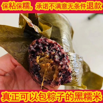 纯血糯米不掺黑米软糯可以包粽子