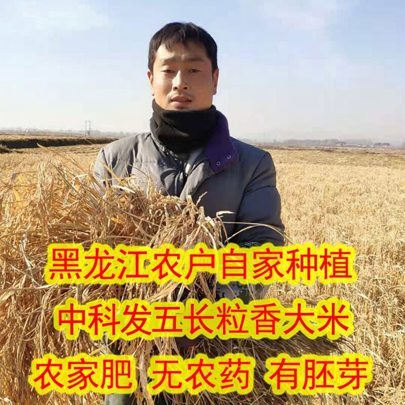 2025新东北黑龙江延寿特产长粒香不抛光中科发五农民自产香口感好