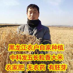 2025新东北黑龙江延寿特产长粒香不抛光中科发五农民自产香口感好