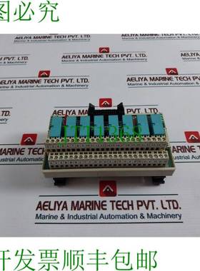 原装供应Valmet RSM8 终端模块 02VA0006