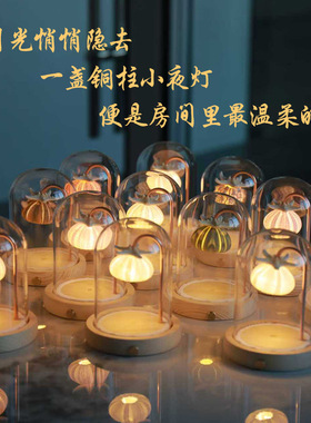 type-c充电款海胆小夜灯配件海胆