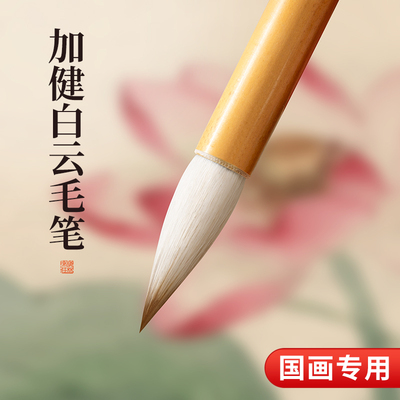 加健大中小白云毛笔初学者