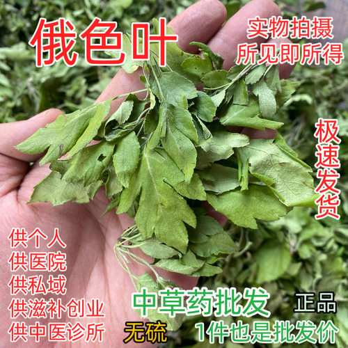 热卖野山茶俄色叶茶 俄色叶 朵答塔 错觉石养生树枚曲 俄色叶真货