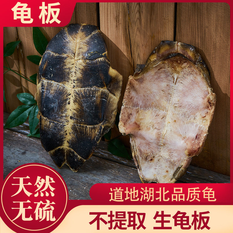 热卖野山龟板500g生龟甲 龟背甲 龟腹甲 乌龟壳另有醋炙龟甲鳖甲