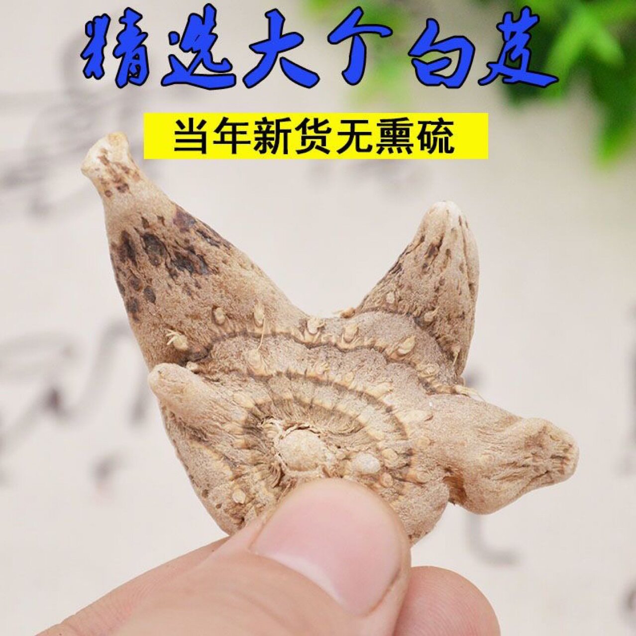 白芨个贵州三叉白芨个旱白芨无硫三叉白芨白及正品可磨白芨粉新货