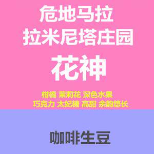 新产季危地马拉咖啡生豆安提瓜拉米妮塔花神水洗花香高甜1KG包邮