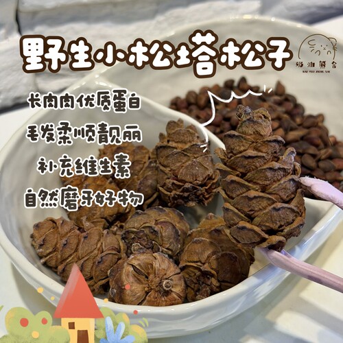 奶油熊舍磨牙小松塔小松子仓鼠金丝熊花枝鼠长肉美毛补充营养