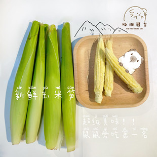 奶油熊舍新鲜玉米笋蔬菜仓鼠荷兰猪金丝熊零食改善消化营养补充
