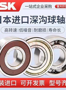 进口日本轴承 6200 6201 6202 6203 6204 6205 6206ZZ DDU