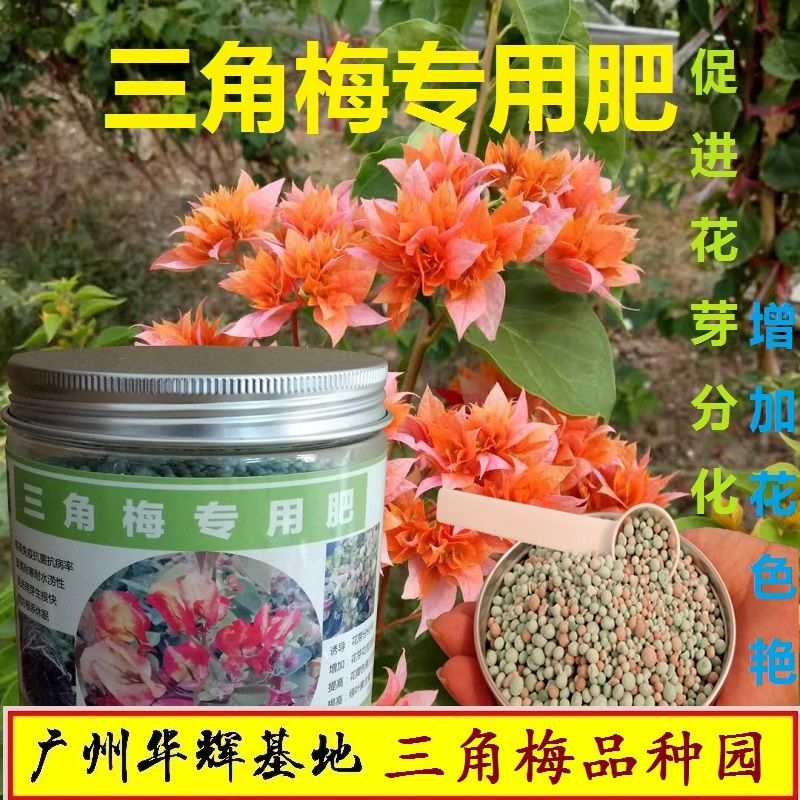 催花专用专用肥华辉进口肥
