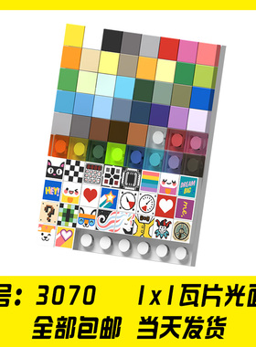 适用乐高3070b积木MOC零件1x1 光面板黑白透明浅蓝红深灰黄绿米棕
