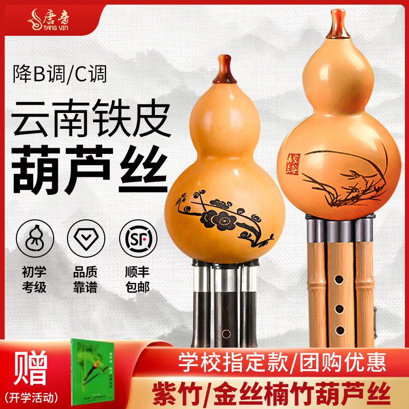唐音天然葫芦丝乐器小学生专用c调降b调初学成人老年人DGFA旗舰店