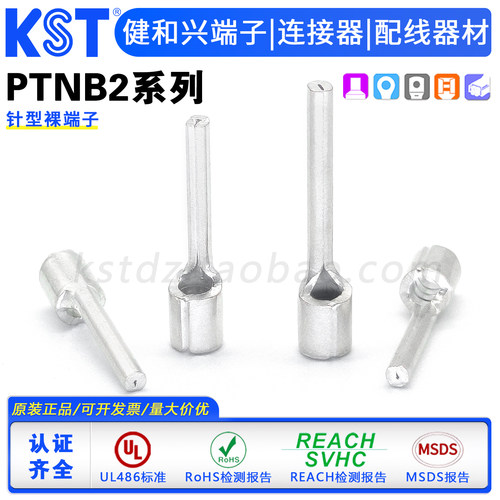 原装KST健和兴PTNB2针形裸端子UL