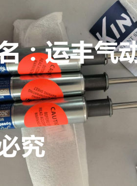 3021-19-1美国白马DESCHNER KINECHEK稳速器