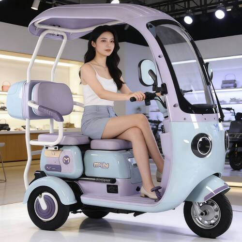 新国标可上牌新款带棚电动三轮车小型成人老年代步车残疾人通勤车