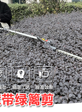 奥晟A40KD22大功率锂电高枝剪充电式园林绿化修枝剪宽带绿篱机