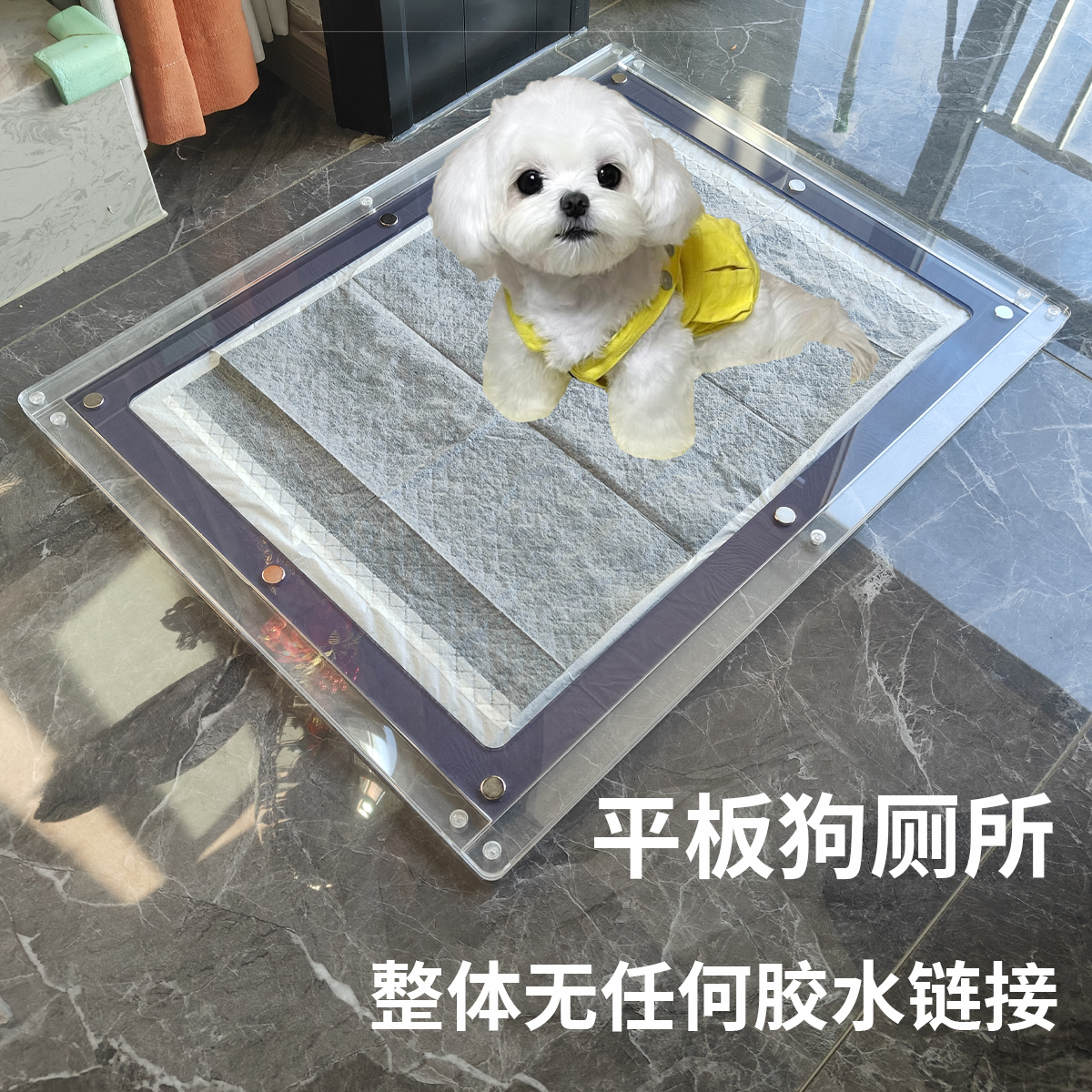 魔镜宠物透明亚克力狗厕所小型犬防滑平板式整体宠物用品狗尿尿盆