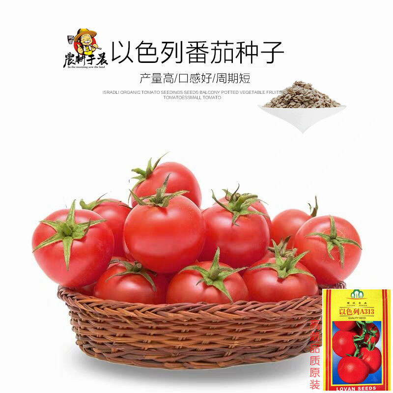 番茄种子粉果番茄种籽孑大西红柿种籽四季非转基因盆栽蔬菜种籽春