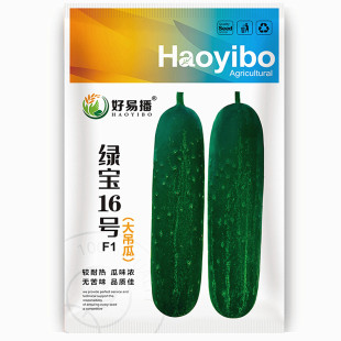 绿宝大吊瓜种子本地黄瓜种籽春季夏季秋季无苦味花青甜脆蔬菜种孑