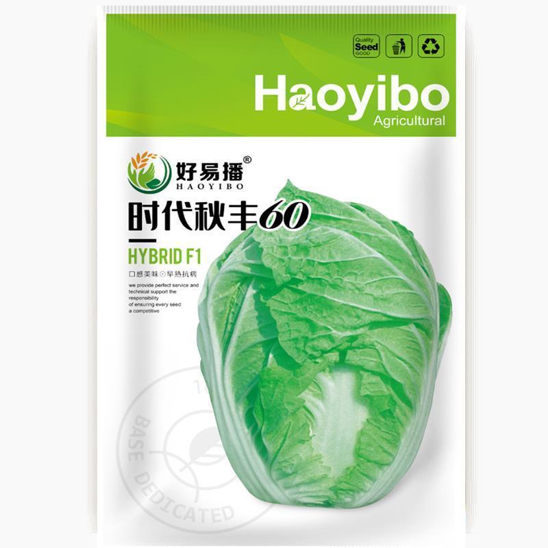 秋丰60白菜种子秋播蔬菜好吃南方秋季春季大白菜种籽绿沃种苗原装