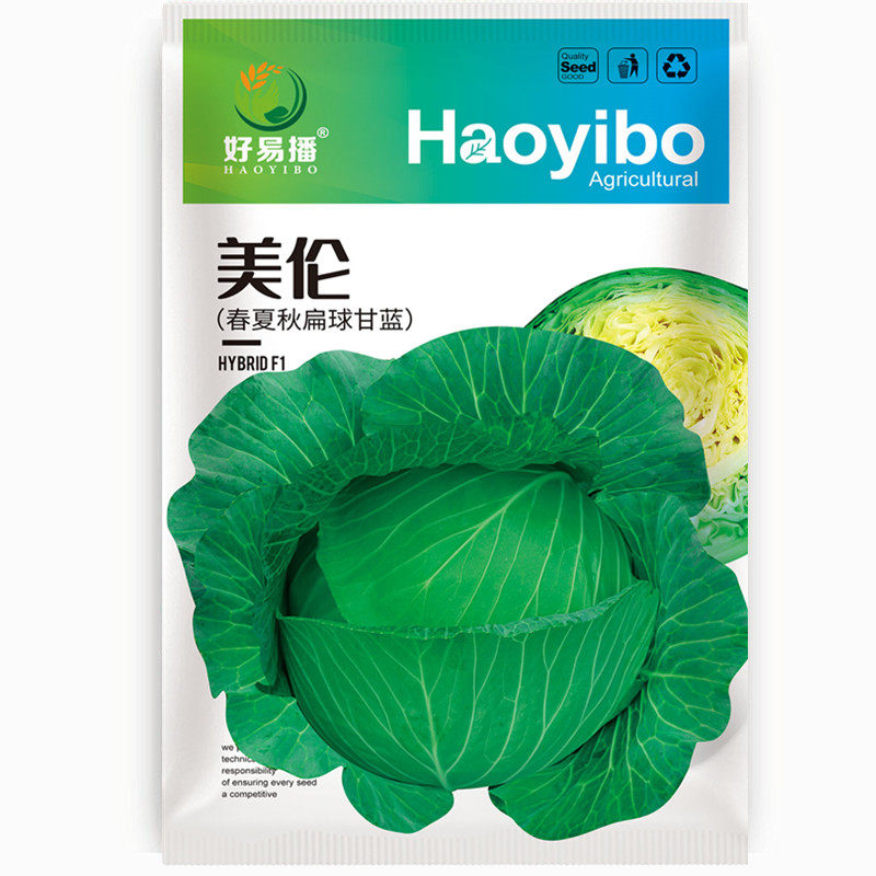 扁球甘蓝种子耐热美伦颜色绿口感美味耐裂球春季夏季秋季蔬菜种籽