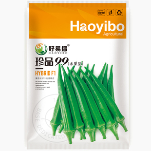 珍品99黄秋葵种子水果型颜色绿油亮原装春季不老不易白四蔬菜种籽