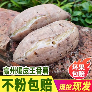 高州爆皮王白心面包王番薯新鲜粉糯板栗红薯农家现挖干面地瓜