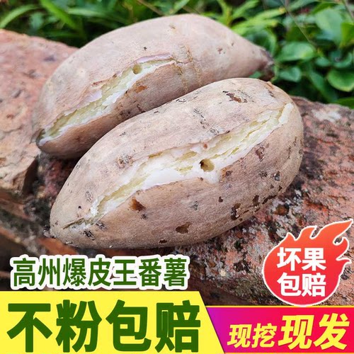 白心爆皮王番薯现挖现发粉糯香甜
