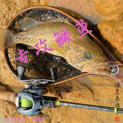 湛道旗舰 652LX 专业竞技 超高性能 鳜鱼路亚竿  精细虫竿1.96米
