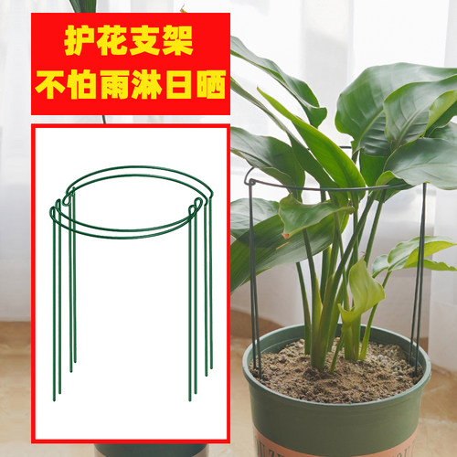 花支架植物支撑护花扶正包塑耐用