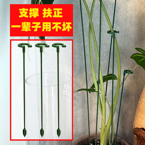 防倒伏固定神器植物花卉支撑杆