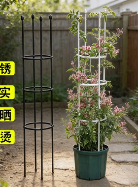 家用园艺爬藤花支架植物爬藤架月季铁线莲攀爬组合花架阳台支撑架