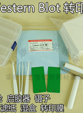 促销Western转膜滚轮免疫印迹WB滚子切胶启胶铲电泳转印镊子滤纸