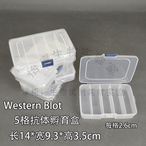 westernblot抗体孵育盒