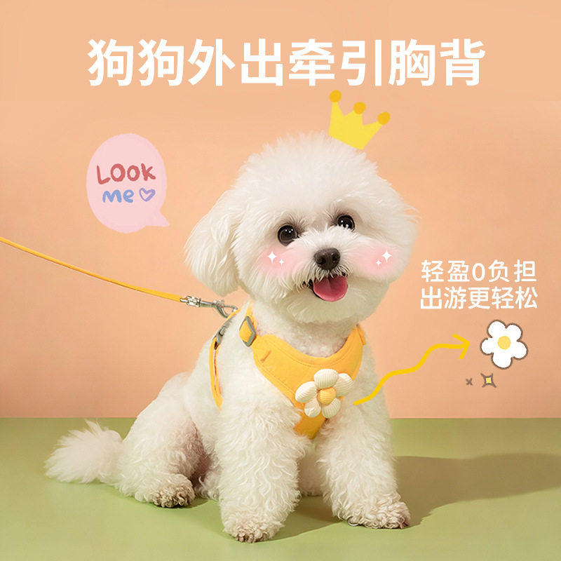 宠物外出小雏菊绣花牵引绳花边背心狗狗猫咪胸背带小型犬胸背,宠物/宠物食品及用品,狗牵引绳,淘宝优惠券,粉丝福利购,淘宝优惠卷