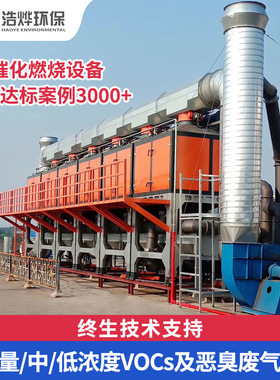 工业废气处理设备催化燃烧一体机RCO吸附脱附有机废气治理高效