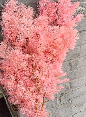 蓬莱松花束家居插花