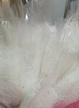 拂尘花芦苇蒲苇干花家居客厅橱窗装饰摆件
