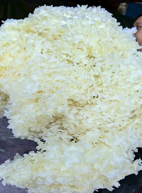 绣球永生花婚庆花艺造景材料