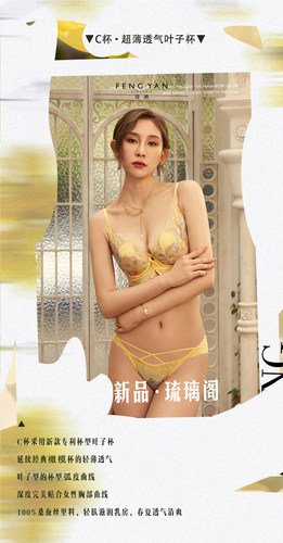 锋燕新款桑蚕丝文胸套装女士