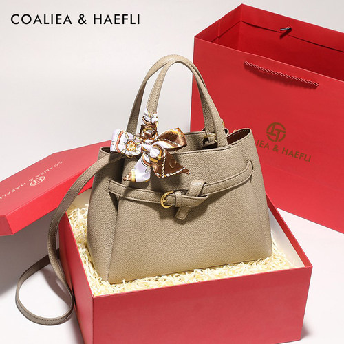 官网COALIEA&HAEFLI高级感妈妈包