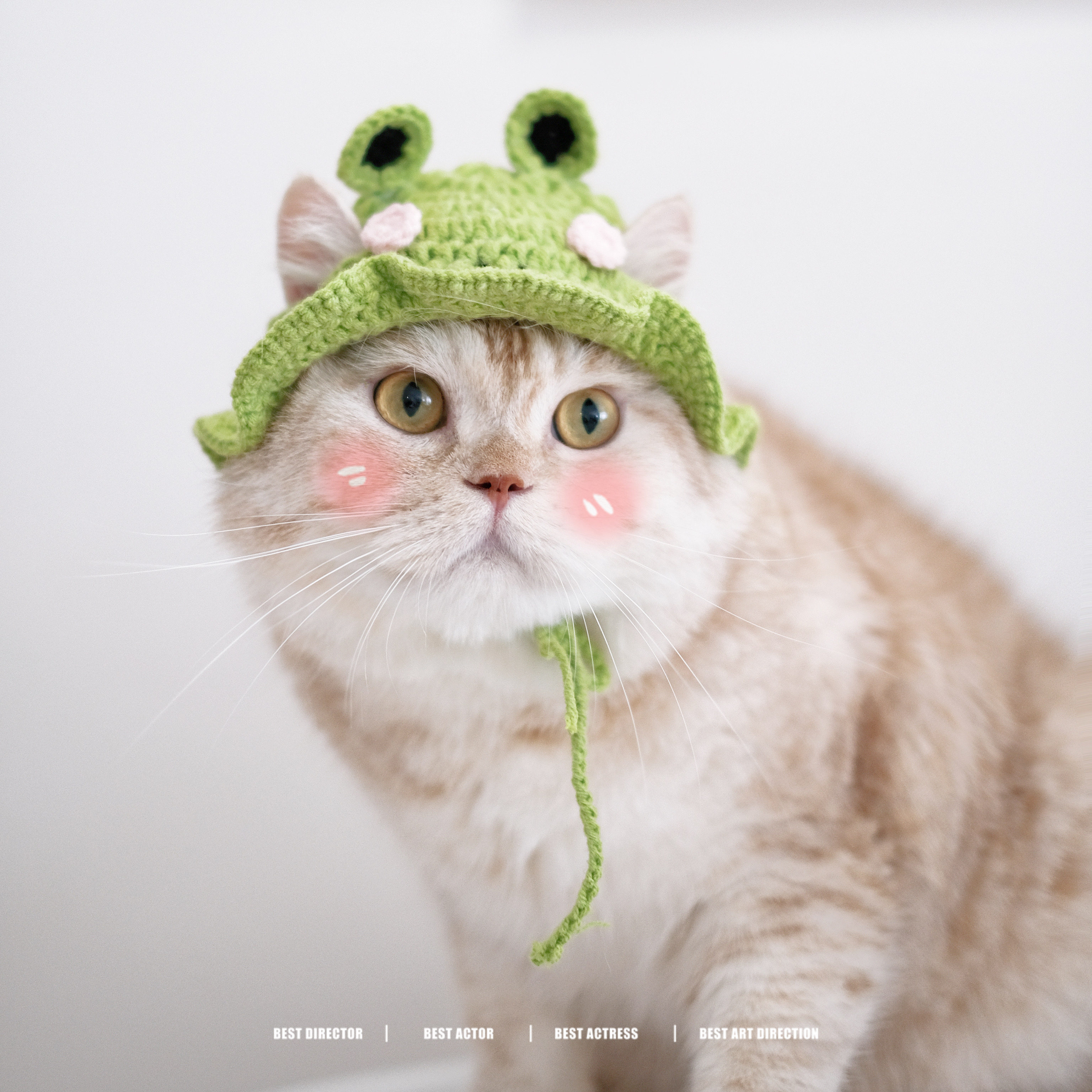 纯手工毛线钩织宠物猫咪帽子变装帽可爱头套