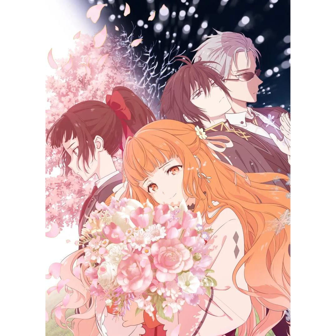素材/设计盒装 【春夏秋冬代行者】 【DVD刻录光盘】