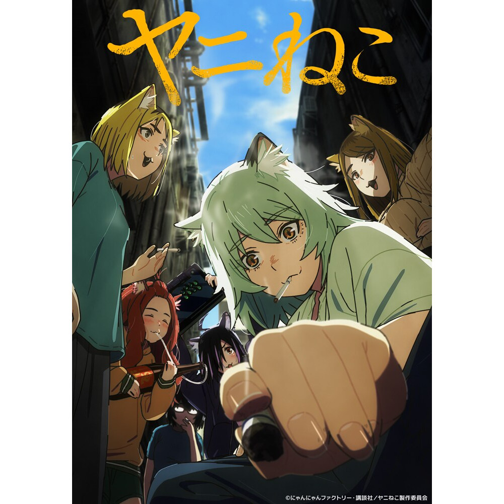 素材/设计盒装 【 尼古喵喵  】 【DVD刻录光盘】