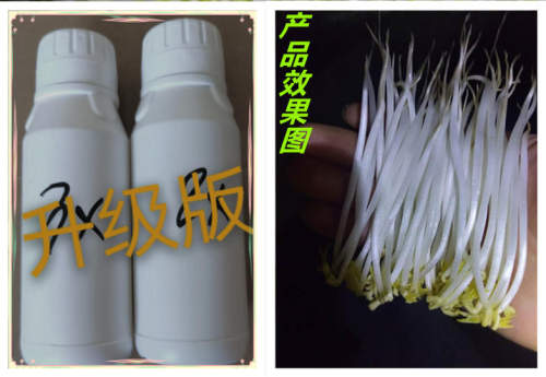 绿豆过检测营养液护芽使者黄豆营养液防腐杀菌亮白AB水剂纯过检测