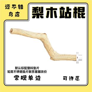 还不错的鹦鹉野梨木黄梨木原木站棍梨木站杠