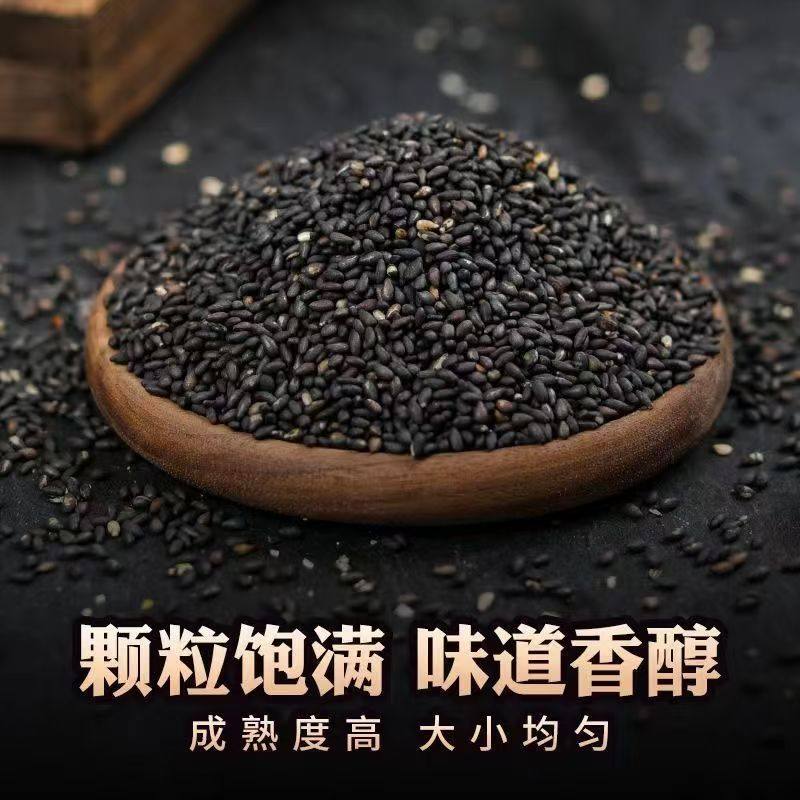 黑芝麻炒熟罐装新货干净无沙饱满新鲜芝黑麻炒熟
