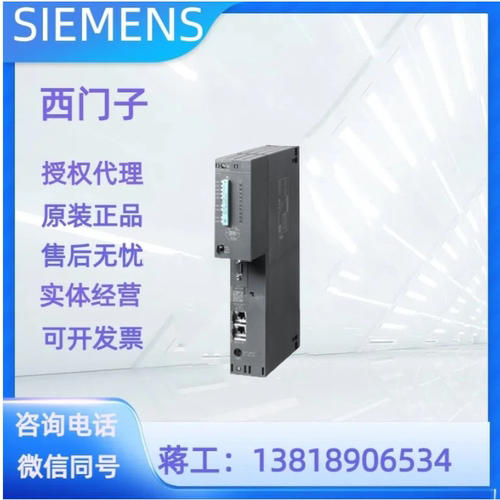 西门子6DD1607-0CA1原装